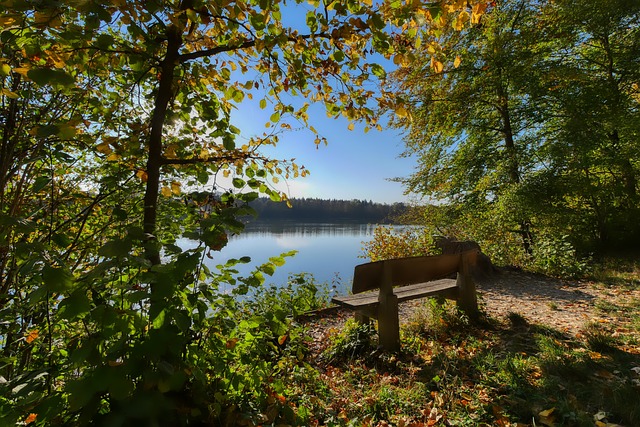 了一场精彩 了一场精彩