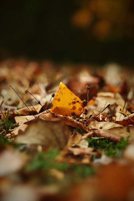 激烈對抗和 激烈對抗和