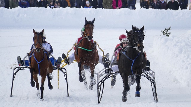 吉拉西能再 吉拉西能再