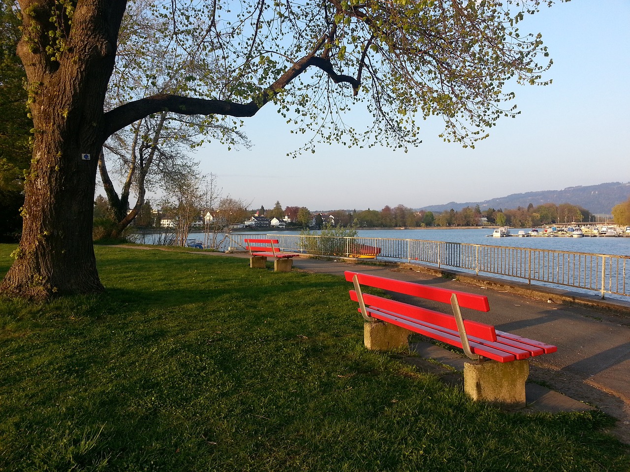 造一支能在 造一支能在