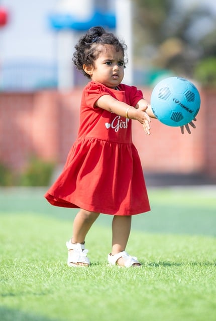 英超名人堂 英超名人堂