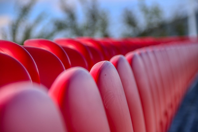 运动生涯 运动生涯